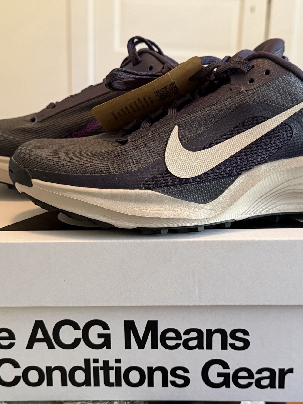 Nike ACG Pegasus Trail Running Shoe - New